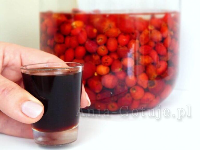 nalewka z dzikiej róży