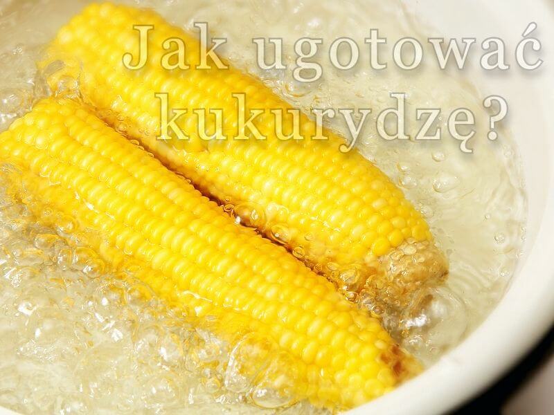 gotowanie kukurydzy
