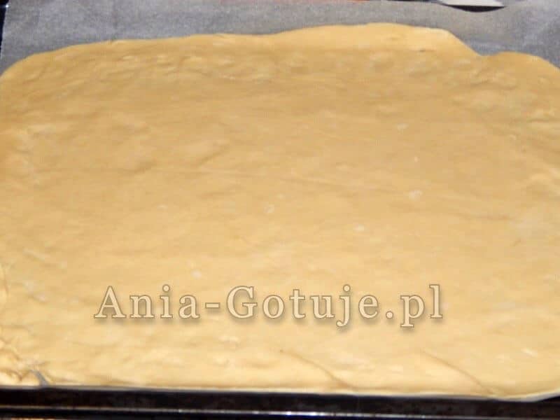 ciasto na pizze