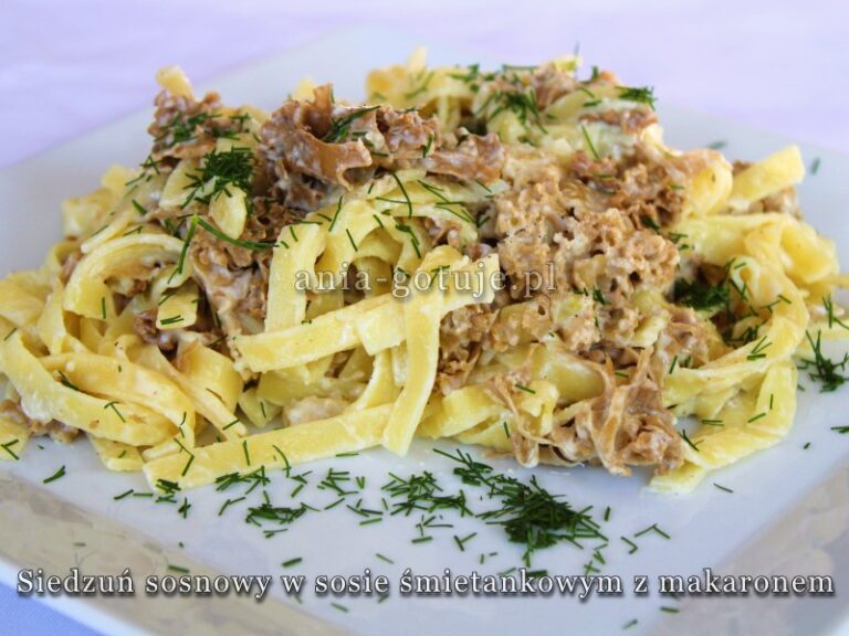 Siedzuń sosnowy w sosie śmietankowym z makaronem