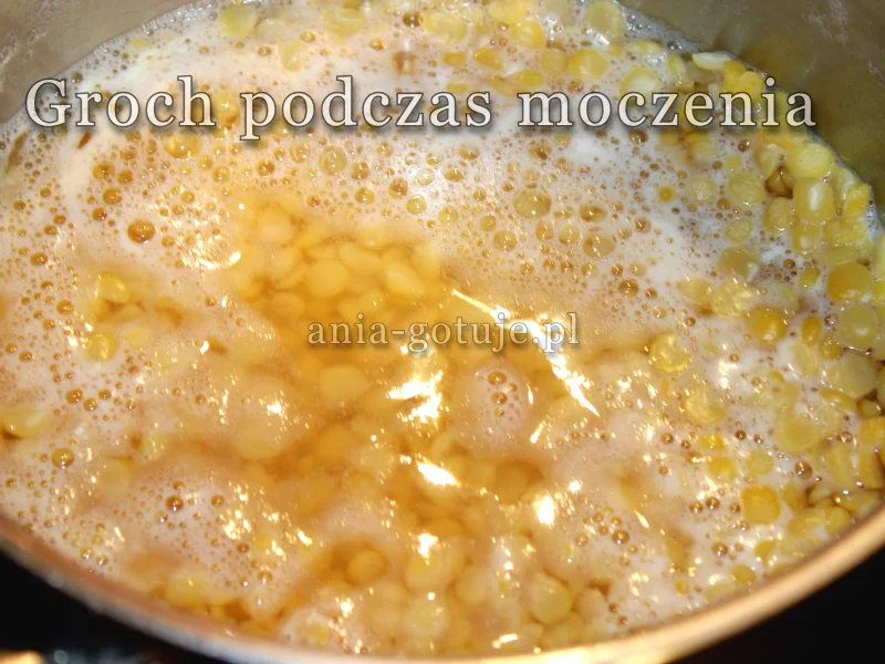 groch podczas moczenia